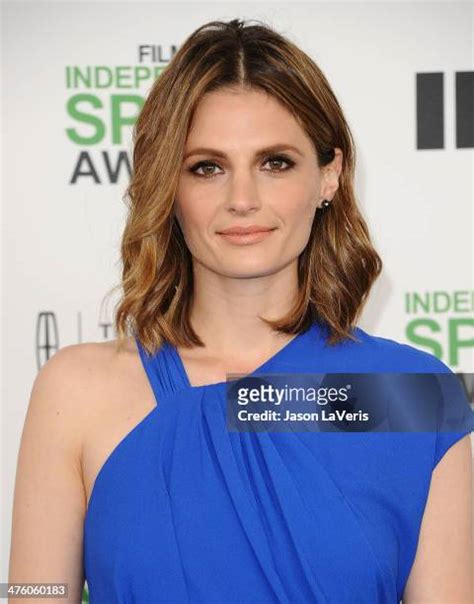 stana katic in bikini|6,629 Stana Katic Images Stock Photos and High